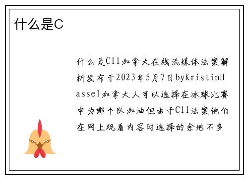 什么是C