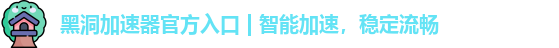 黑洞加速器官网